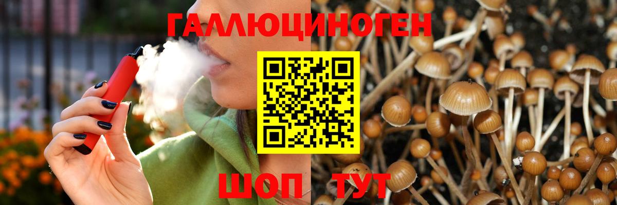 Псилоцибиновые грибы Magic Shrooms  Вход с VPN  Сунжа 